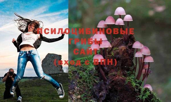 spice Володарск