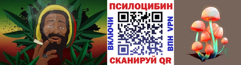 Псилоцибиновые грибы ЛСД  kraken ссылки  darknet формула  Кочубеевское 